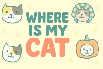 Where Is My Cat